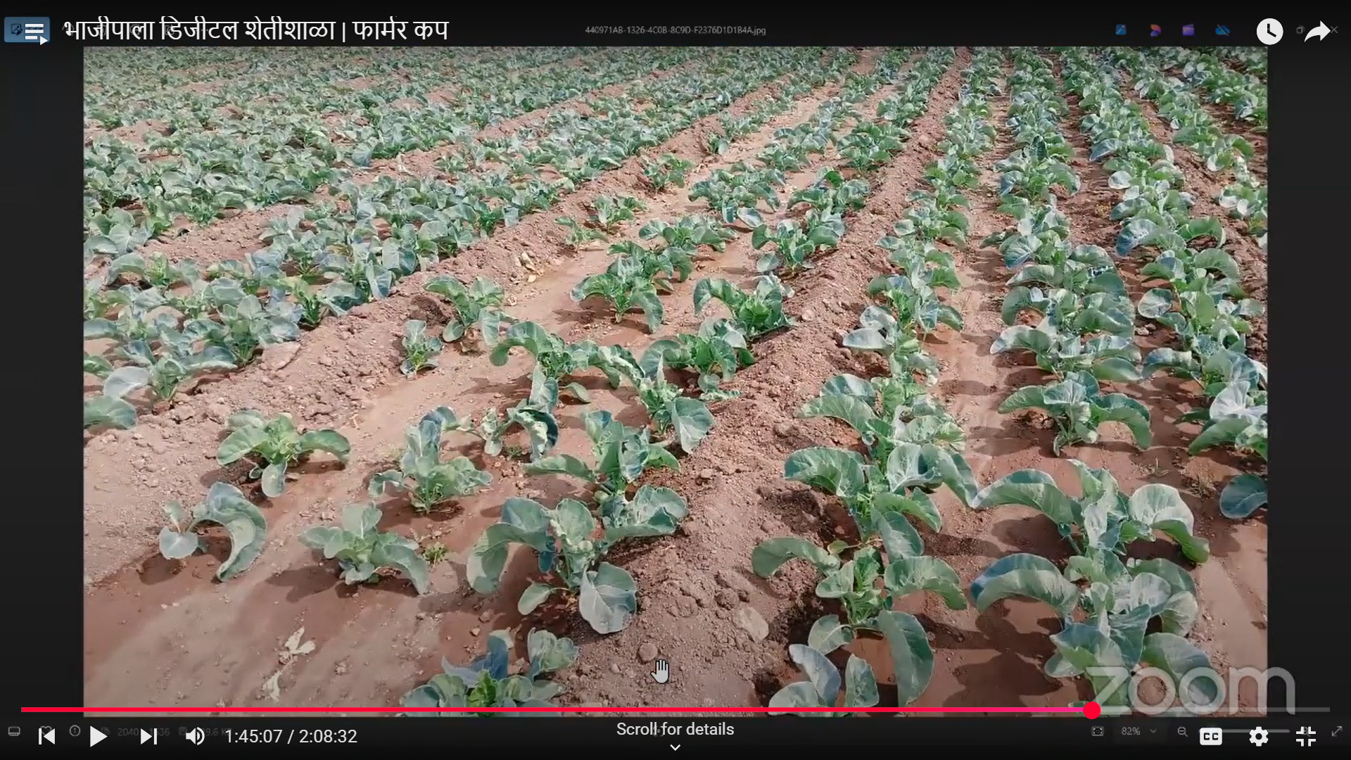 Vegetables Farming